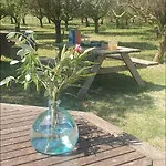 Bed & Breakfast Les Bonbonnettes Le Cailar