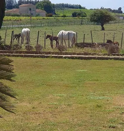 Les Bonbonnettes Bed & Breakfast *