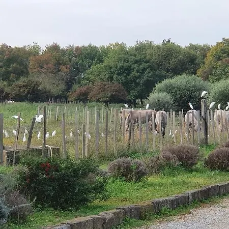 Les Bonbonnettes Nocleg ze śniadaniem