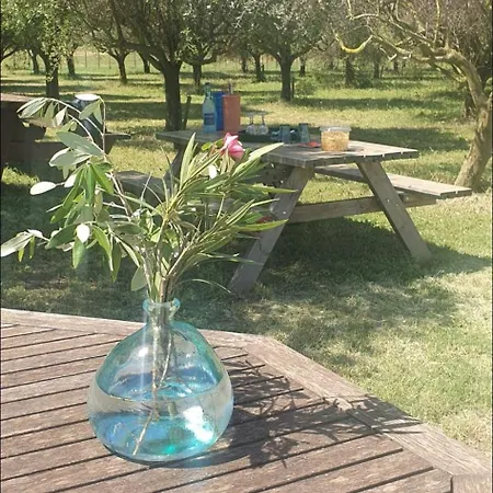 Nocleg ze śniadaniem Les Bonbonnettes Le Cailar